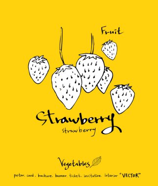 Sebze ve meyve resimler / el çekilmiş gıda maddeleri - vektör