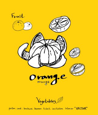 Sebze ve meyve resimler / el çekilmiş gıda maddeleri - vektör