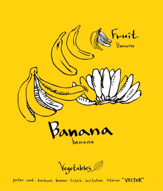 Sebze ve meyve resimler / el çekilmiş gıda maddeleri - vektör