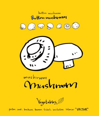 Sebze ve meyve resimler / el çekilmiş gıda maddeleri - vektör