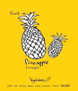 Sebze ve meyve resimler / el çekilmiş gıda maddeleri - vektör