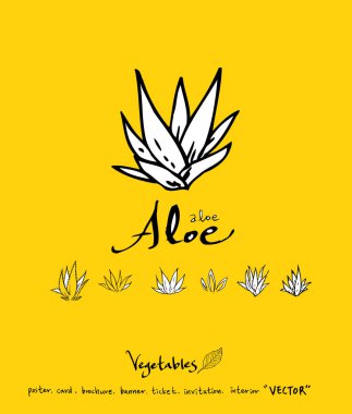 Sebze ve meyve resimler / el çekilmiş gıda maddeleri - vektör