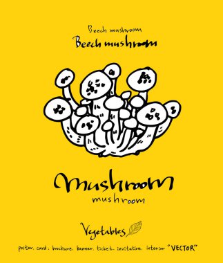 El çekilmiş gıda maddeleri - sebze ve meyve resimleri - vektör