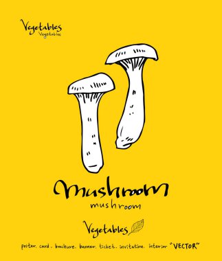 El çekilmiş gıda maddeleri - sebze ve meyve resimleri - vektör