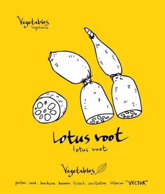 El çekilmiş gıda maddeleri - sebze ve meyve resimleri - vektör