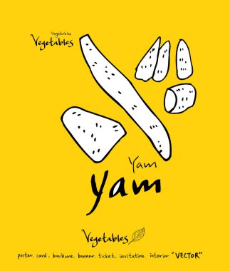 El çekilmiş gıda maddeleri - sebze ve meyve resimleri - vektör