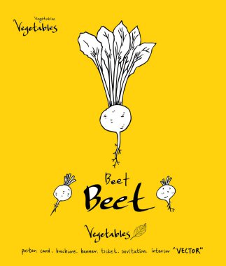 El çekilmiş gıda maddeleri - sebze ve meyve resimleri - vektör