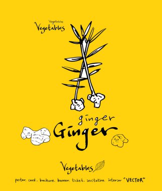 El çekilmiş gıda maddeleri - sebze ve meyve resimleri - vektör