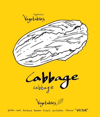 El çekilmiş gıda maddeleri - sebze ve meyve resimleri - vektör