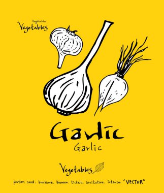 El çekilmiş gıda maddeleri - sebze ve meyve resimleri - vektör