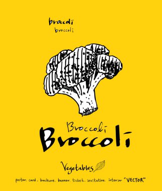 El çekilmiş gıda maddeleri - sebze ve meyve resimleri - vektör