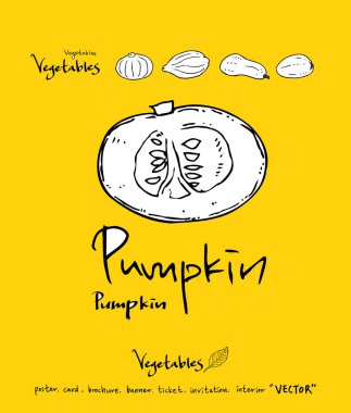 El çekilmiş gıda maddeleri - sebze ve meyve resimleri - vektör