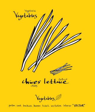 El çekilmiş gıda maddeleri - sebze ve meyve resimleri - vektör