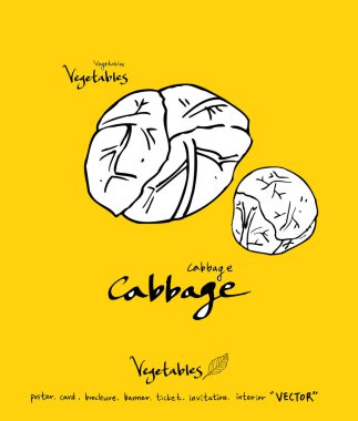 El çekilmiş gıda maddeleri - sebze ve meyve resimleri - vektör