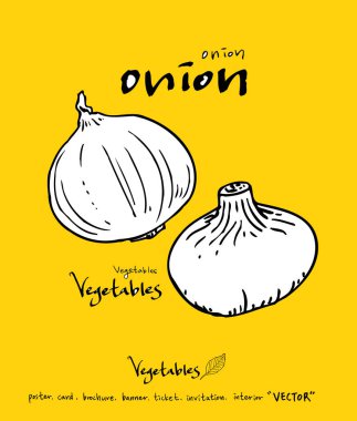 El çekilmiş gıda maddeleri - sebze ve meyve resimleri - vektör