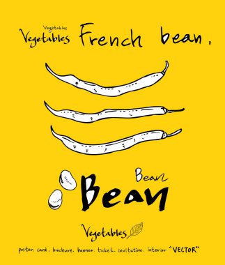 El çekilmiş gıda maddeleri - sebze ve meyve resimleri - vektör