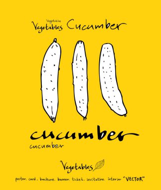 El çekilmiş gıda maddeleri - sebze ve meyve resimleri - vektör