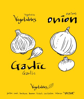 El çekilmiş gıda maddeleri - sebze ve meyve resimleri - vektör