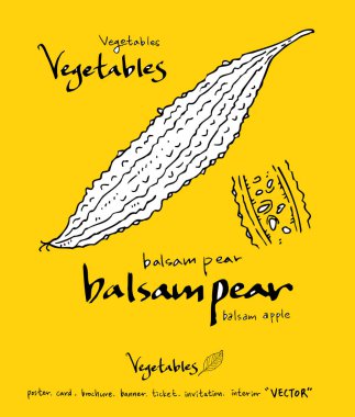 El çekilmiş gıda maddeleri - sebze ve meyve resimleri - vektör