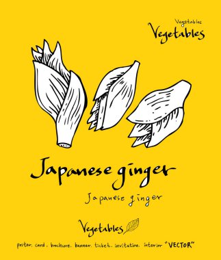 El çekilmiş gıda maddeleri - sebze ve meyve resimleri - vektör