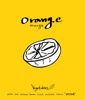 El çekilmiş gıda maddeleri - sebze ve meyve resimleri - vektör