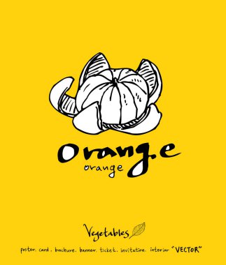 El çekilmiş gıda maddeleri - sebze ve meyve resimleri - vektör