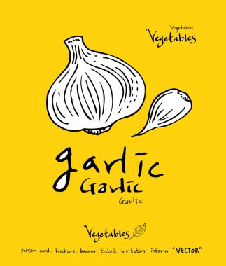 El çekilmiş gıda maddeleri - sebze ve meyve resimleri - vektör