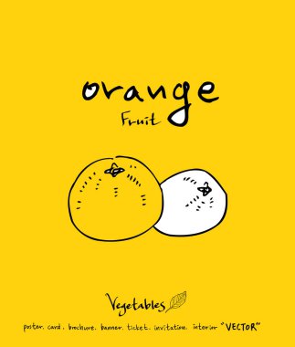 El çekilmiş gıda maddeleri - sebze ve meyve resimleri - vektör