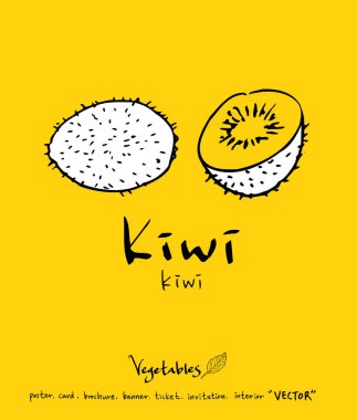 El çekilmiş gıda maddeleri - sebze ve meyve resimleri - vektör