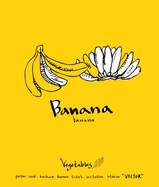 El çekilmiş gıda maddeleri - sebze ve meyve resimleri - vektör