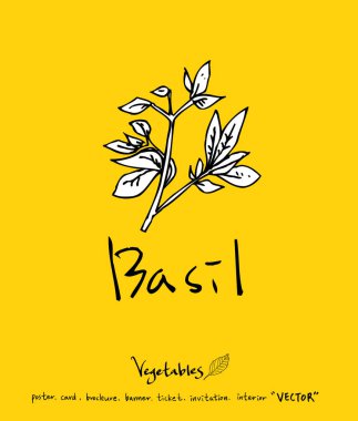 El çekilmiş gıda maddeleri - sebze ve meyve resimleri - vektör