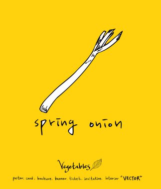 El çekilmiş gıda maddeleri - sebze ve meyve resimleri - vektör