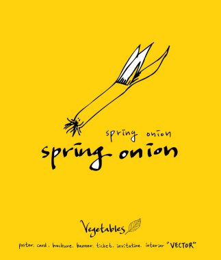 El çekilmiş gıda maddeleri - sebze ve meyve resimleri - vektör