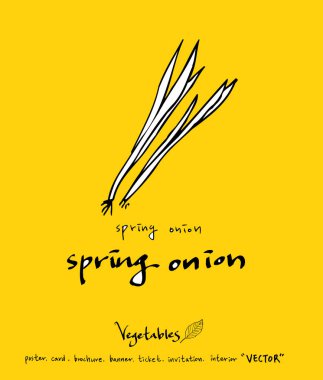 El çekilmiş gıda maddeleri - sebze ve meyve resimleri - vektör