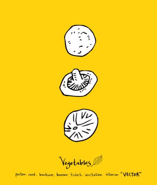 El çekilmiş gıda maddeleri - sebze ve meyve resimleri - vektör