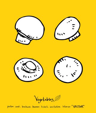 El çekilmiş gıda maddeleri - sebze ve meyve resimleri - vektör