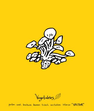 El çekilmiş gıda maddeleri - sebze ve meyve resimleri - vektör