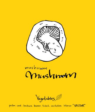 El çekilmiş gıda maddeleri - sebze ve meyve resimleri - vektör