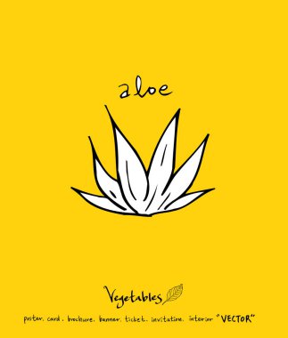 El çekilmiş gıda maddeleri - sebze ve meyve resimleri - vektör