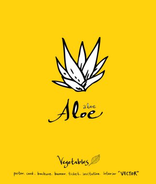 El çekilmiş gıda maddeleri - sebze ve meyve resimleri - vektör