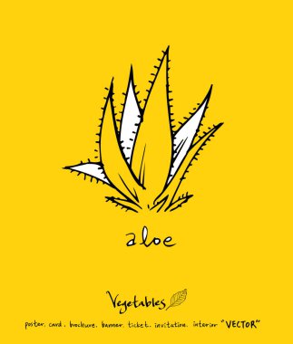 El çekilmiş gıda maddeleri - sebze ve meyve resimleri - vektör