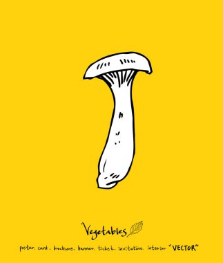 El çekilmiş gıda maddeleri - sebze ve meyve resimleri - vektör