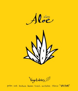 El çekilmiş gıda maddeleri - sebze ve meyve resimleri - vektör