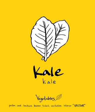 El çekilmiş gıda maddeleri - sebze ve meyve resimleri - vektör