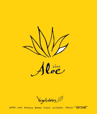 El çekilmiş gıda maddeleri - sebze ve meyve resimleri - vektör