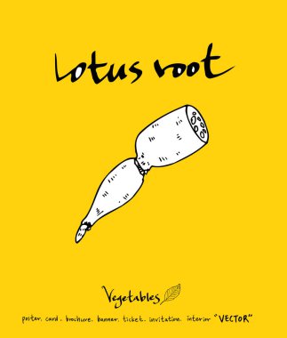 El çekilmiş gıda maddeleri - sebze ve meyve resimleri - vektör