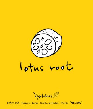 El çekilmiş gıda maddeleri - sebze ve meyve resimleri - vektör