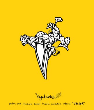 El çekilmiş gıda maddeleri - sebze ve meyve resimleri - vektör