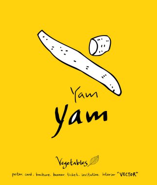 El çekilmiş gıda maddeleri - sebze ve meyve resimleri - vektör