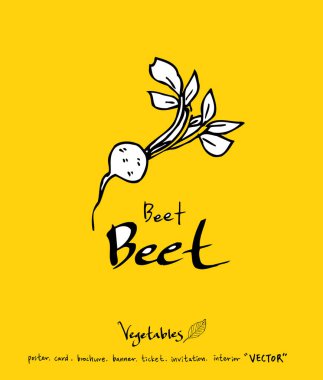 El çekilmiş gıda maddeleri - sebze ve meyve resimleri - vektör